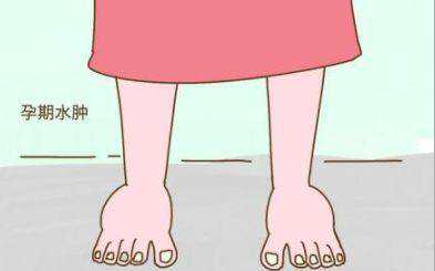 找女人代孕费用,不孕不育抗体五项是什么？看完你就知道了！